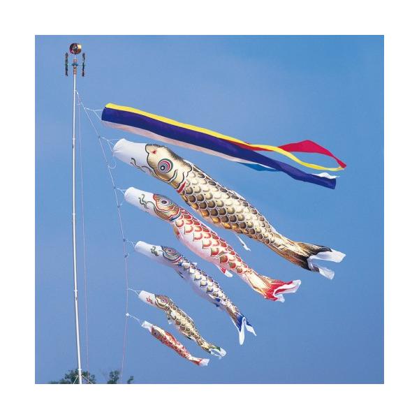 ̂ڂ ь ^ix ̂ڂ  4m 8_ 5C ܐF  ^Zbg |[ʔ