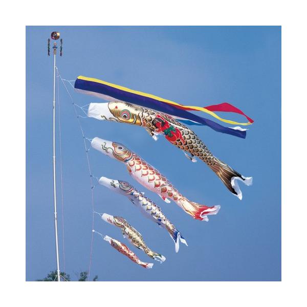 ̂ڂ ь ^ix ̂ڂ  8m 8_ 5C Yt ܐF  ^Zbg |[ʔ