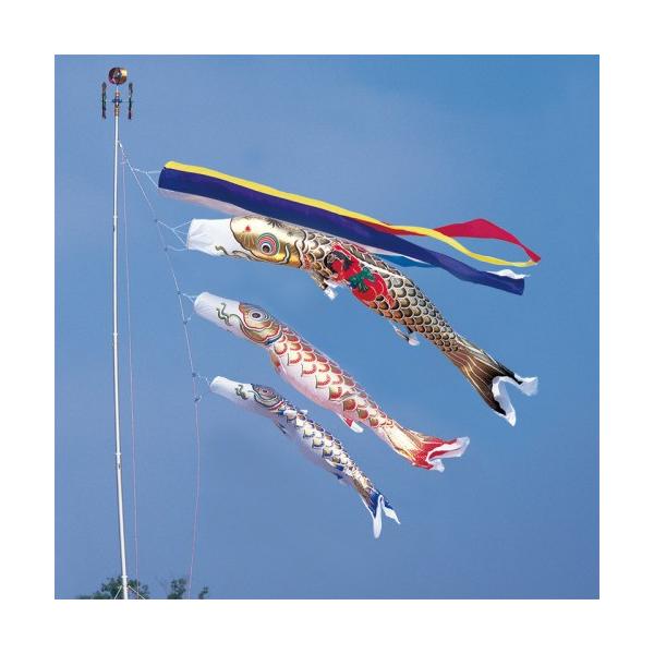 ̂ڂ ь ^ix ̂ڂ  5m 6_ 3C Yt ܐF  ^Zbg |[ʔ