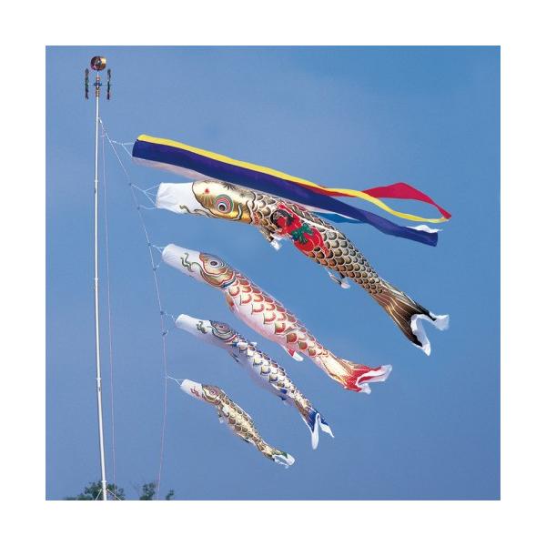 ̂ڂ ь ^ix ̂ڂ  4m 7_ 4C Yt ܐF  ^Zbg |[ʔ