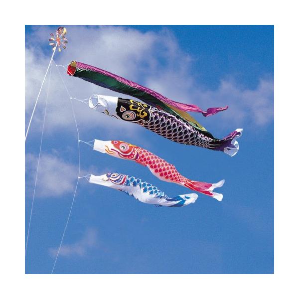 ̂ڂ ь ^ix ̂ڂ  8m 6_ 3C ܐF  ^Zbg |[ʔ