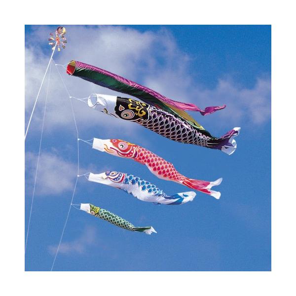 ̂ڂ ь ^ix ̂ڂ  4m 7_ 4C ܐF  ^Zbg |[ʔ