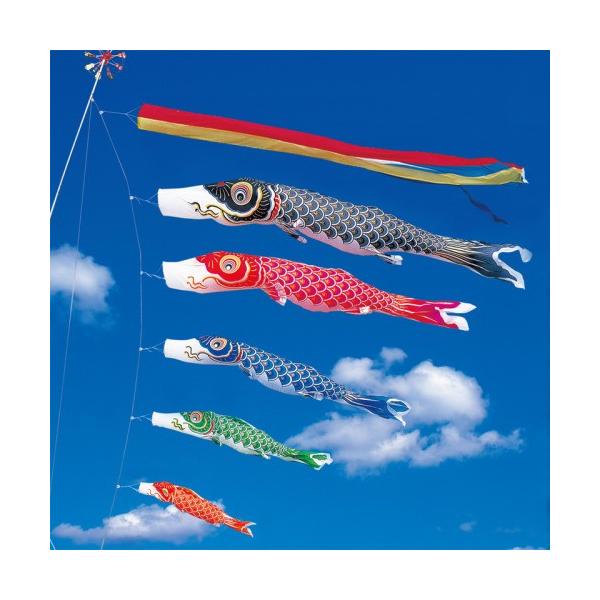 ̂ڂ ь ^ix ̂ڂ  6m 8_ 5C ܐF  ^Zbg |[ʔ