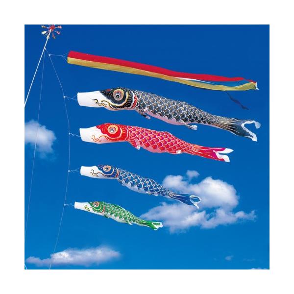 ̂ڂ ь ^ix ̂ڂ  5m 7_ 4C ܐF  ^Zbg |[ʔ