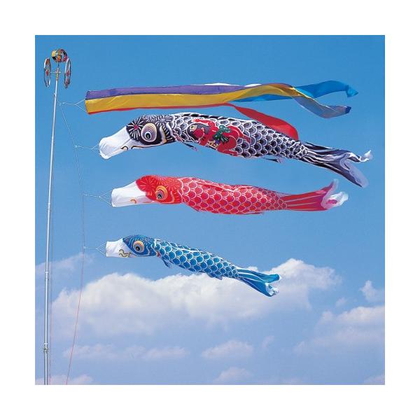 ̂ڂ ь ^ix ̂ڂ Ȃߌ 6m 6_ 3C Yt ܐF  ^Zbg |[ʔ