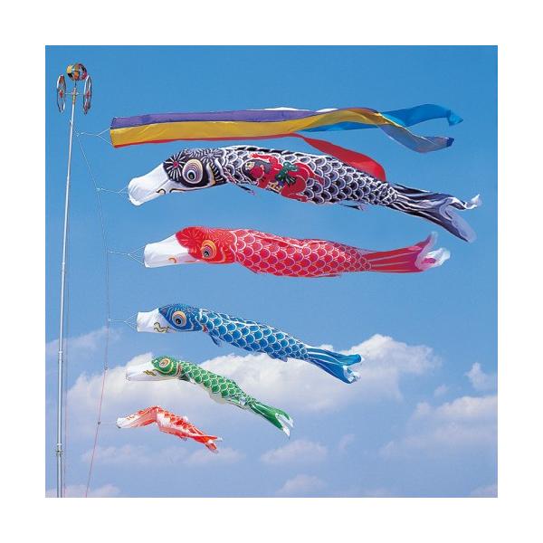 ̂ڂ ь ^ix ̂ڂ Ȃߌ 5m 8_ 5C Yt ܐF  ^Zbg |[ʔ