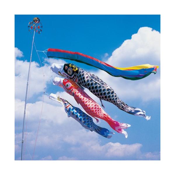 ̂ڂ ь ^ix ̂ڂ H 2m iqEŒ^Cv ܐF  z[Zbg H^Cv}VZbg 20