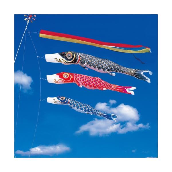 ̂ڂ ь ^ix ̂ڂ  4m Yō݃^Cv ܐF  }Cz[ōݗpZbg 40