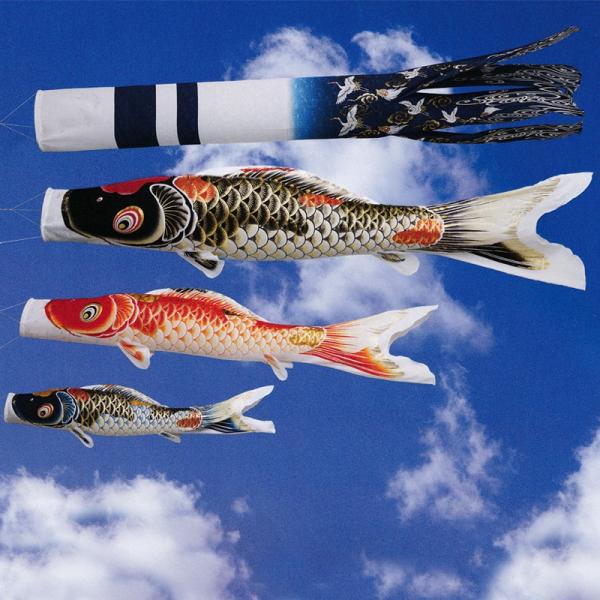 ̂ڂ ь ^ix ̂ڂ g˓V 5m 6_ 3C  ^Zbg |[ʔ