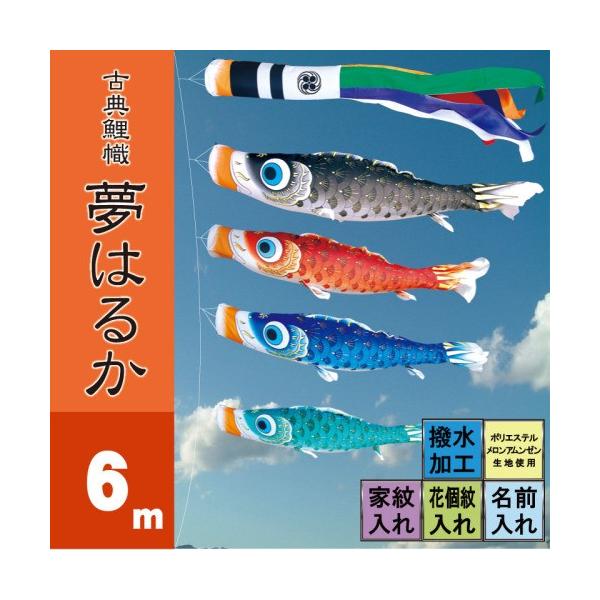 ̂ڂ i ̂ڂ ͂邩 6m 7_ 4C i ^Zbg |[ʔ