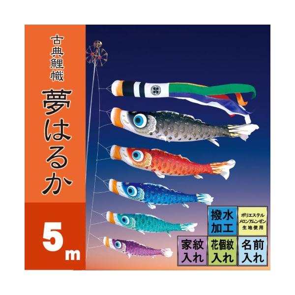 ̂ڂ i ̂ڂ ͂邩 5m 8_ 5C i ^Zbg |[ʔ