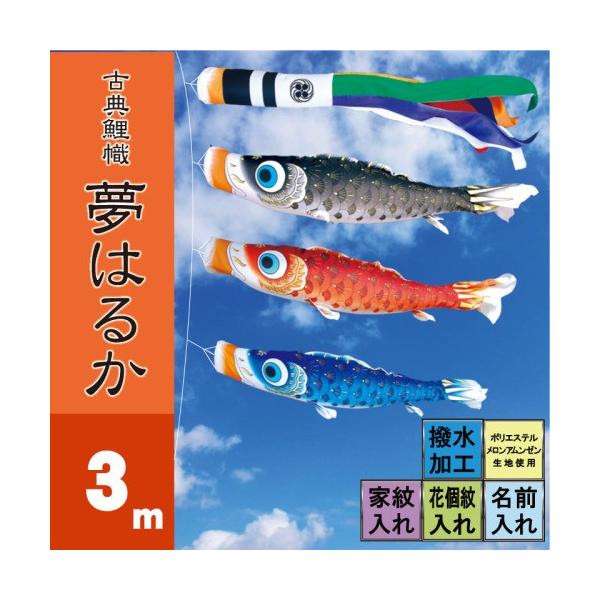 ̂ڂ i ̂ڂ ͂邩 3m 6_ 3C i ^Zbg |[ʔ