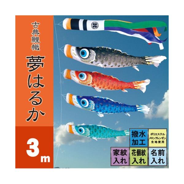 ̂ڂ i ̂ڂ ͂邩 3m 7_ 4C i ^Zbg |[ʔ