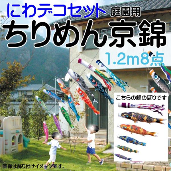 ̂ڂ i ̂ڂ ߂񋞋 1.2m 8_ 5C ɂfRZbg i