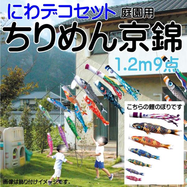 ̂ڂ i ̂ڂ ߂񋞋 1.2m 9_ 6C ɂfRZbg i