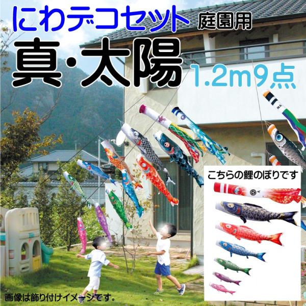 ̂ڂ i ̂ڂ ^Ez1.2m 9_ 6C ɂfRZbg i