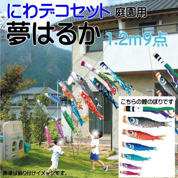 ̂ڂ i ̂ڂ ͂邩 1.2m 9_ 6C ɂfRZbg i