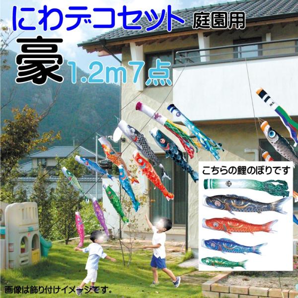 ̂ڂ i ̂ڂ  1.2m 7_ 4C ɂfRZbg i