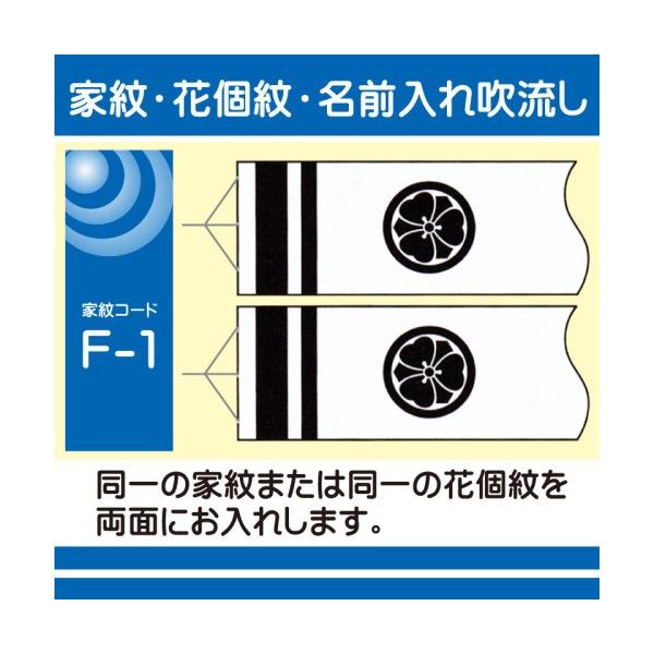 i ̂ڂp ƖEԌ F-1 ̖ 2.5mȏ͕ʗZ