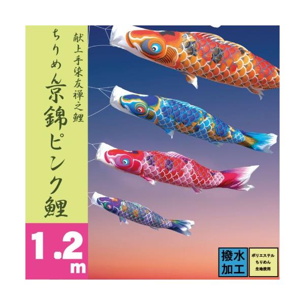 ̂ڂ i ̂ڂ ߂񋞋 sN Pi 1.2m i