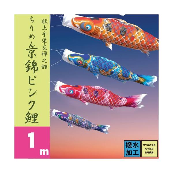 ̂ڂ i ̂ڂ ߂񋞋 sN Pi 1m i