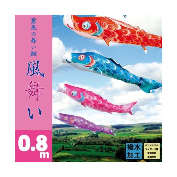 ̂ڂ i ̂ڂ  sN Pi 0.8m i