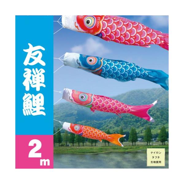 ̂ڂ i ̂ڂ FT sN Pi 2m i