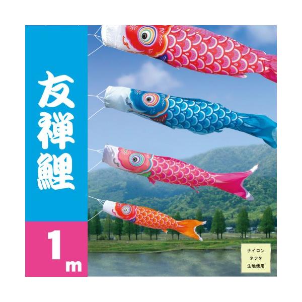 ̂ڂ i ̂ڂ FT sN Pi 1m i