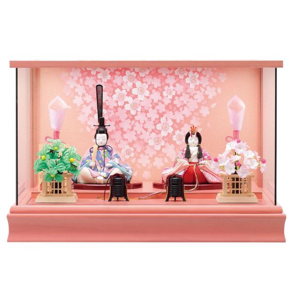 l` G RpNg  ؖڍ P[Xe R1 H-2