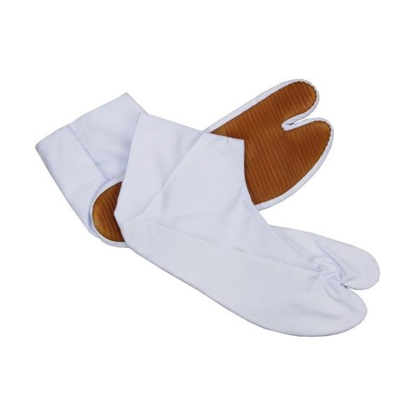 Ղpi  ˂ qp Ղ葫 Sꑫ 3-4Rn[ 15-20cm lR|X350~ 2܂