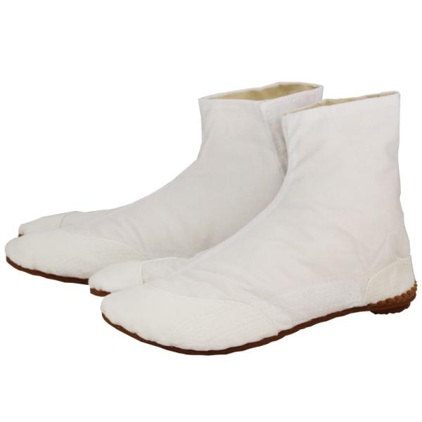 ˂⑫ Ղ葫 El Gn  5͂ Dt 22|30m