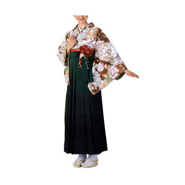 【お祭り用品】【女性用】袴 ボカシ無地 緑・ワイン・紫 S-LL C65441-65443