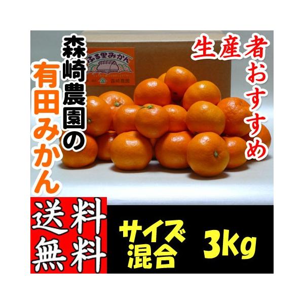 Lc݂ TCY 3kg (܂) X_ ӂ闢݂ 肾݂ a̎R Mtg Ε p ƒp Yn