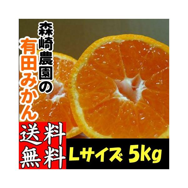 Lc݂ LTCY 5kg X_ ӂ闢݂ 肾݂ a̎R Mtg Ε p ƒp Yn