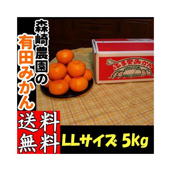 Lc݂ 2LTCY()  5kg X_ ӂ闢݂ 肾݂ a̎R Mtg Ε p ƒp Yn