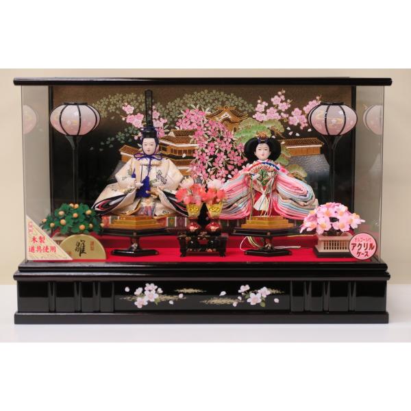 Hql ԗB LED ANP[X yeP[Xz e@LED@ؐ@IS[t P[X@ߑ@sNߑ