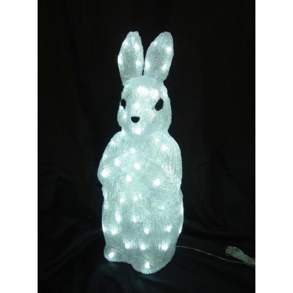 C~l[V NX}XC~l[V C~l[VCg Op LEDANrbg 3DAj}`[t