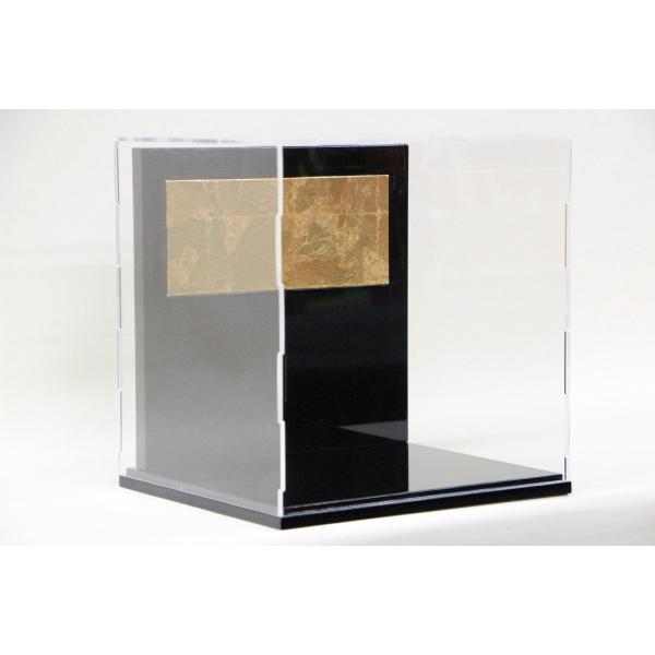 ܌l` ꂢ  RpNg 6 ՗ gANP[Xt