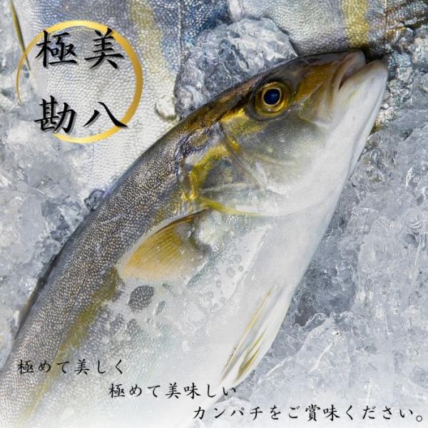 morita-yakkyoku0731_sk001