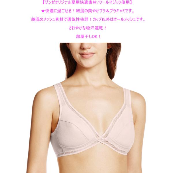 グンゼ ノンワイヤーブラジャー メッシュタイプ クールマジック ブラ Eb1227h Buyee Buyee Japanese Proxy Service Buy From Japan Bot Online