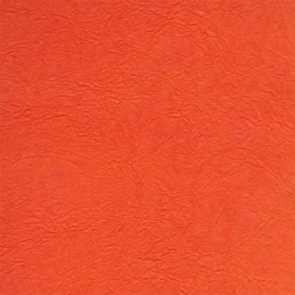 moritawashi_iromomi-orange