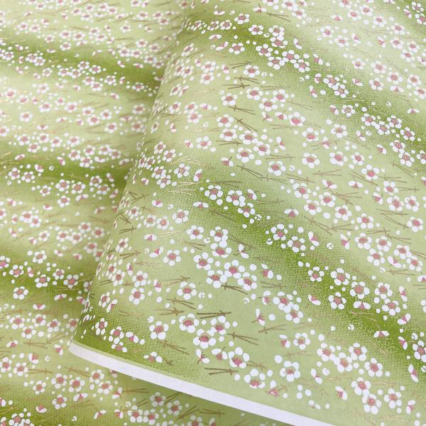 友禅和紙 白梅と松葉 明るい黄緑色のぼかし かわいい 大判 約63ｘ93cm 千代紙