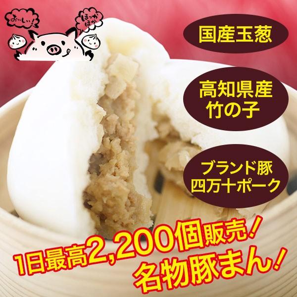 具だくさん豚まん (R2P) 280g (2個入)  冷凍 高知 四万十ポーク使用 高知県産竹の子 具材たっぷり
