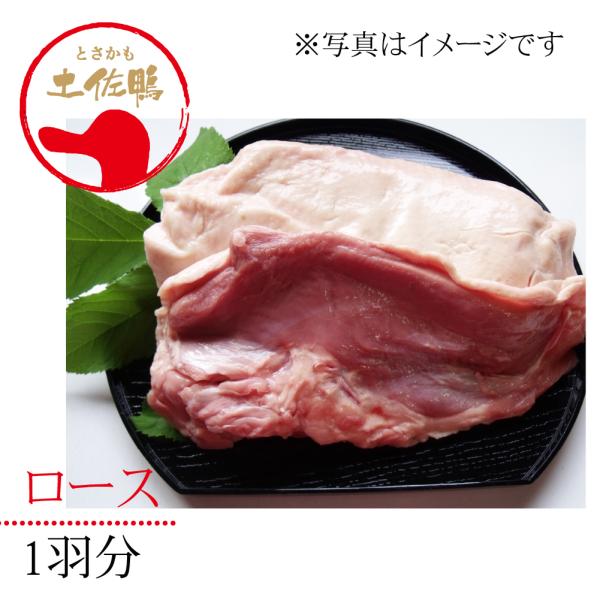 土佐鴨・土佐ジロー飼育研究会 かも カモ