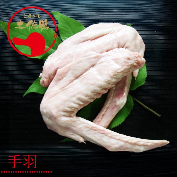 土佐鴨・土佐ジロー飼育研究会 かも カモ