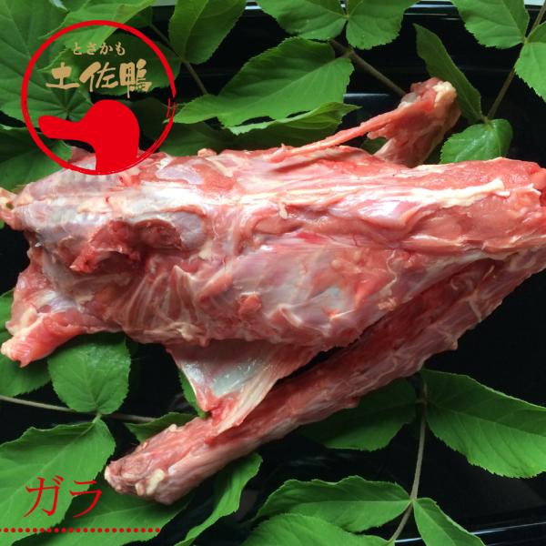 土佐鴨・土佐ジロー飼育研究会 かも カモ