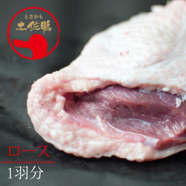 土佐鴨・土佐ジロー飼育研究会 かも カモ