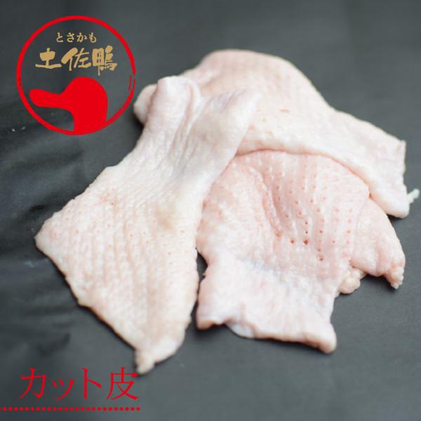 土佐鴨・土佐ジロー飼育研究会 かも カモ