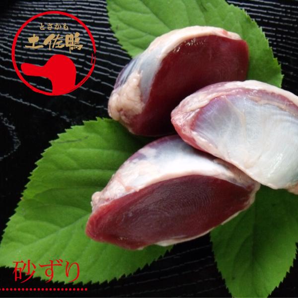 土佐鴨・土佐ジロー飼育研究会 かも カモ