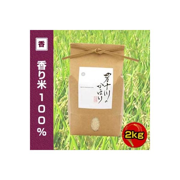 令和7年度産　香り米 (神の香〜カミノカ） 100%　2kg 四万十川のかほり  仁井田米   （品種名：汢ノ川1号） 新品種 ぬたのかわ